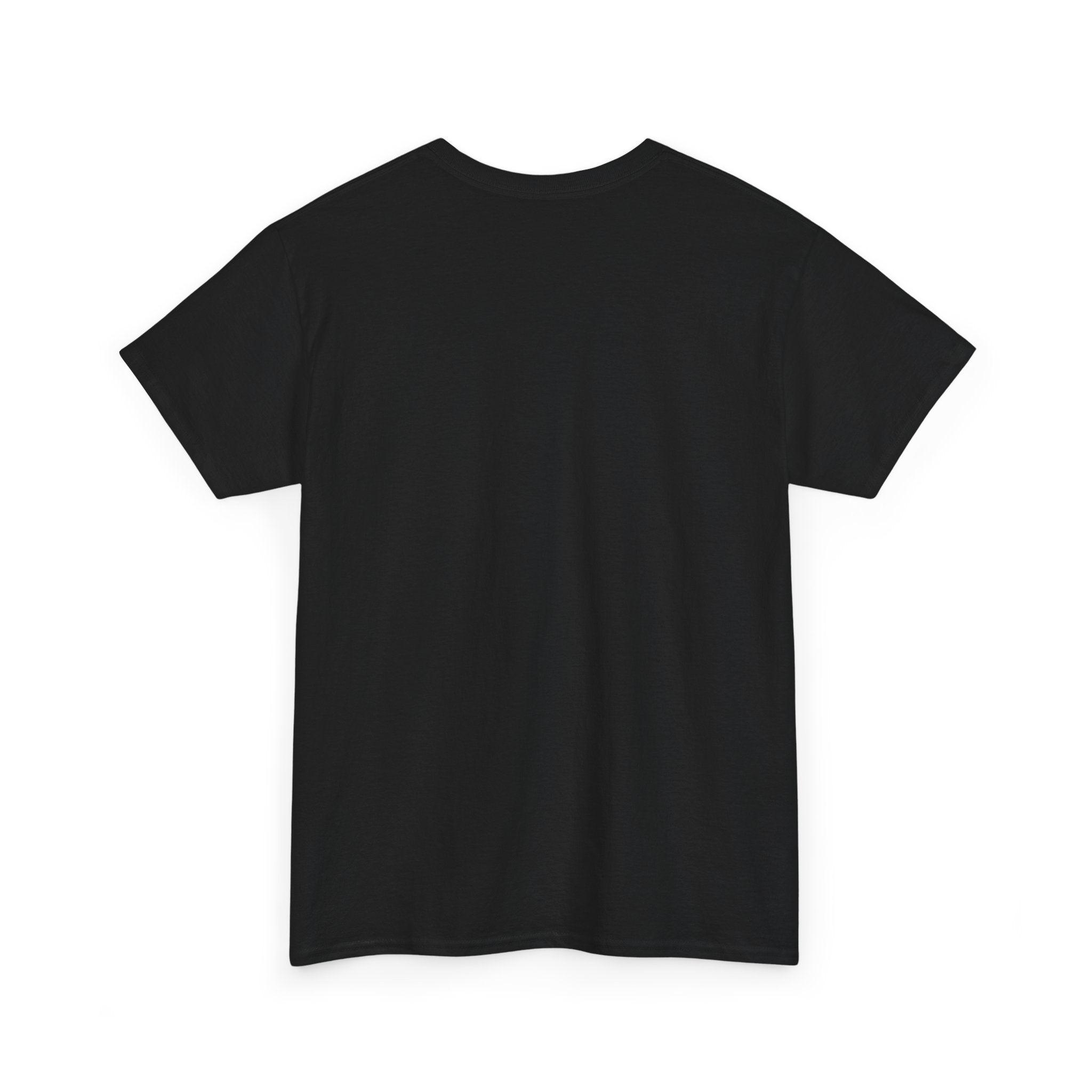 Cropdusting In Progress Vintage Airplane Tee