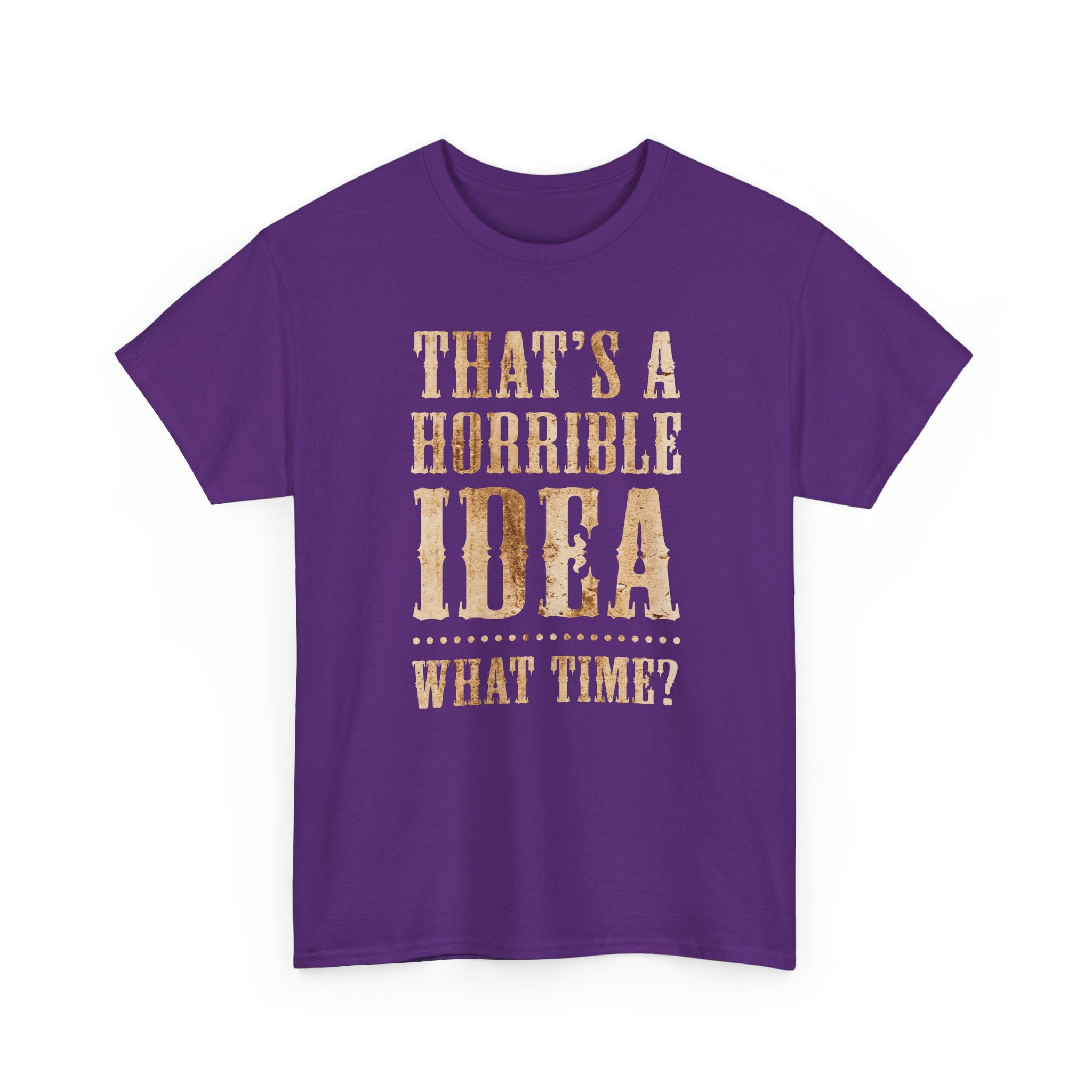 Funny Graphic Tee — "That's a Horrible Idea, What Time?"