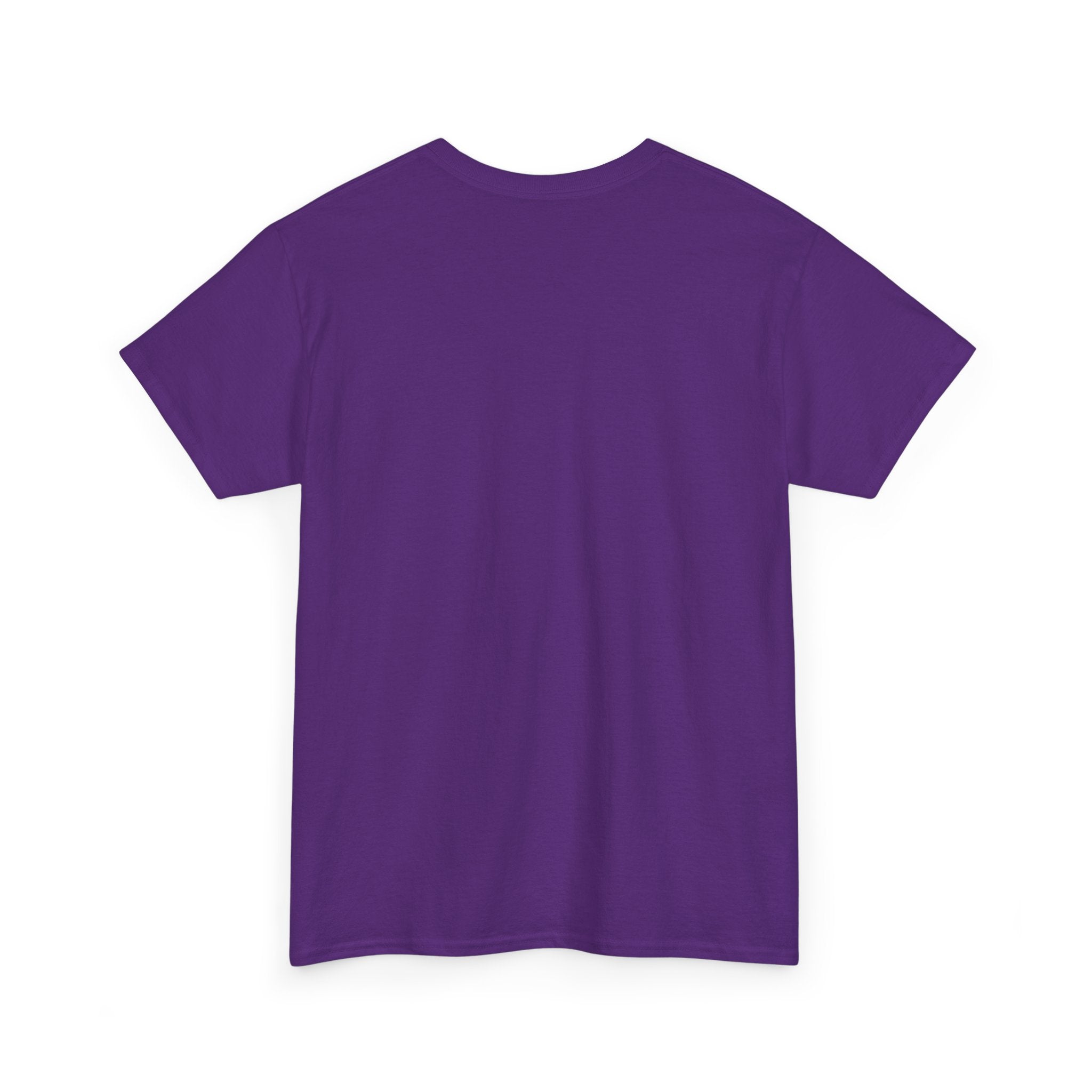 Cropdusting In Progress Vintage Airplane Tee